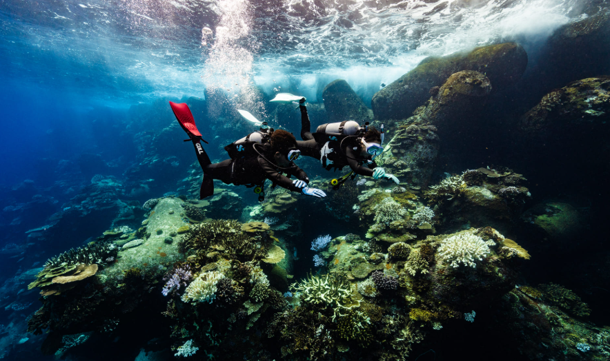 Bali Dive Shop: Tempat Terbaik Mendapatkan Peralatan Selam Berkualitas di Pulau Dewata